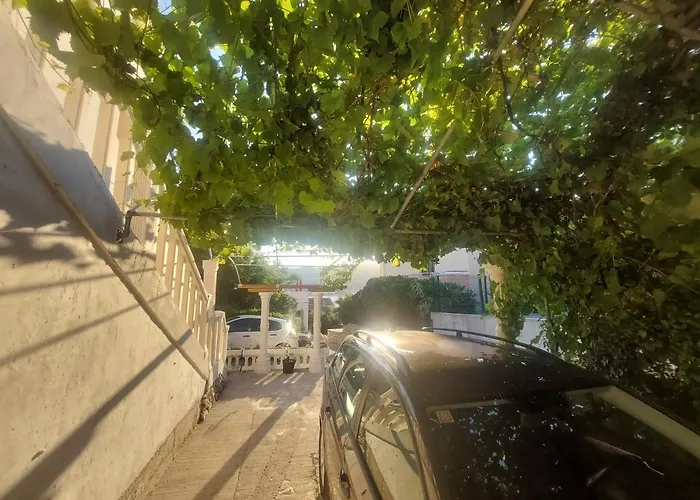 Iva 50m From Apartment